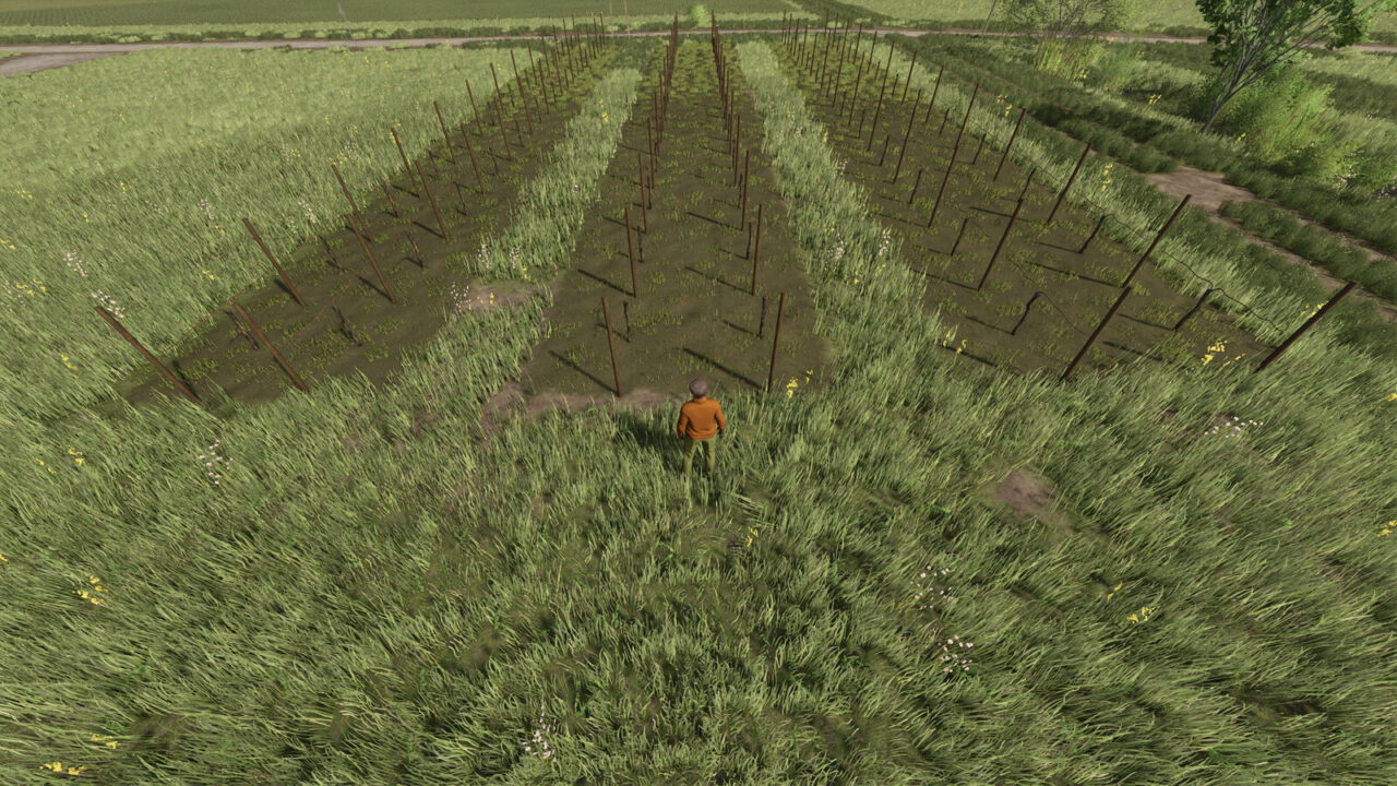 Narrow Vines And Olives (2 And 2.50) for Farming Simulator 25